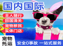 舟山航空货运国际宠物托运 【国